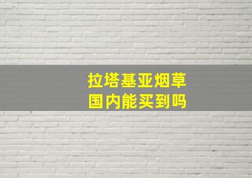 拉塔基亚烟草 国内能买到吗